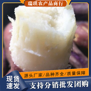 ���ϼt���tƤ���ļt��ɳ�����r��������19̖��ŴܛŴ�ع�������]