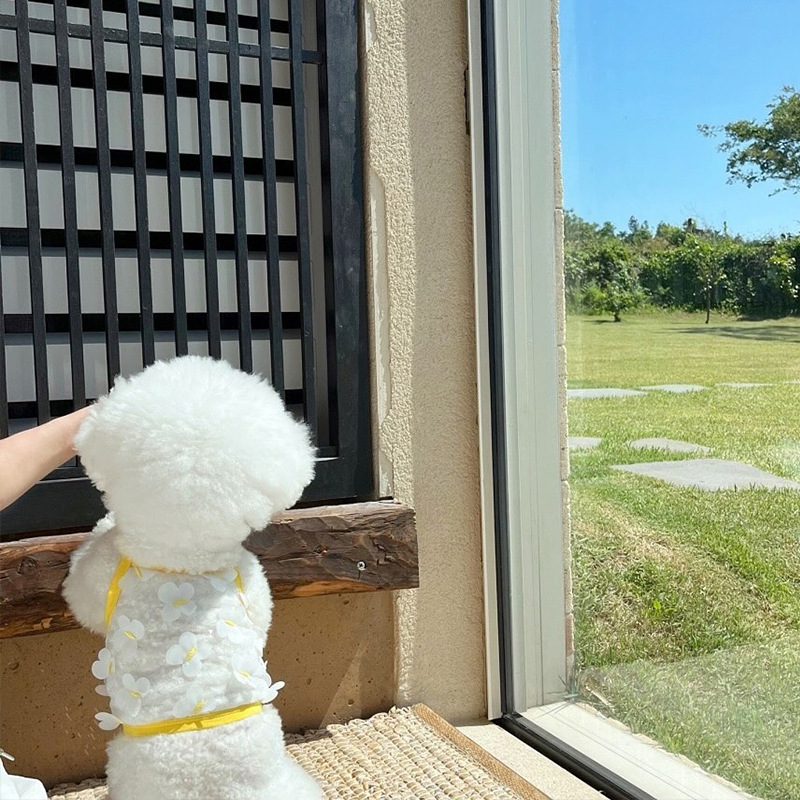 Primavera y verano perros delgados transpirables mariposa tridimensional malla transpirable sonrisa cara cabra pequeña ropa de mascotas perros gatos