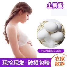 ��S���]�Z�����r�ЋD���Z���r��ɢ�B�Z��12ö�����Z���a���l