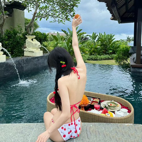 Bikini with Separate Bottom, Cherry Blossom Print, Hot Spring Style, Small Cup Women's Swimwear