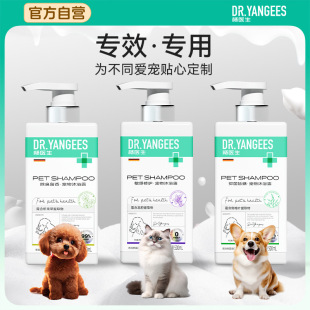 ���t��������ԡ¶500ml��������ֹ�W����؈�乷��ϴ��؈�����
