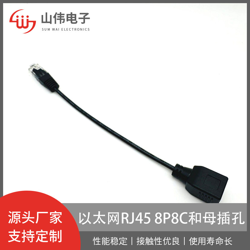Cable Harness Factory Ethernet Rj45 8P8C and Female Jack Customized Rj45 8P8C Network Adapter