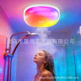 IP65 Waterproof Rechargeable Shower Light 磁吸16色调光浴室灯