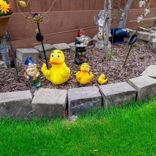 Middle Finger Duck 2024 Cross-border New Crafts Most Cute Salute Duck Garden Ornaments