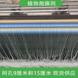 其他安全网;金属板网;展示架