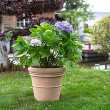 Խβ22̖mĪϱWs÷Nֲ