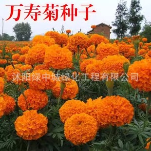 �f�۾շN���ļ��_���׻��ܽ�ػ��N���ӿ�ȸ�ݻ��N���ذ��f�۾���