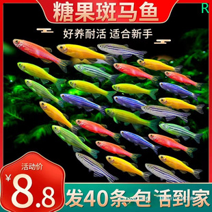 ���R�~�Ꭷ��ˮ�^�p�~С���~���B�����~��ȸ�~����~