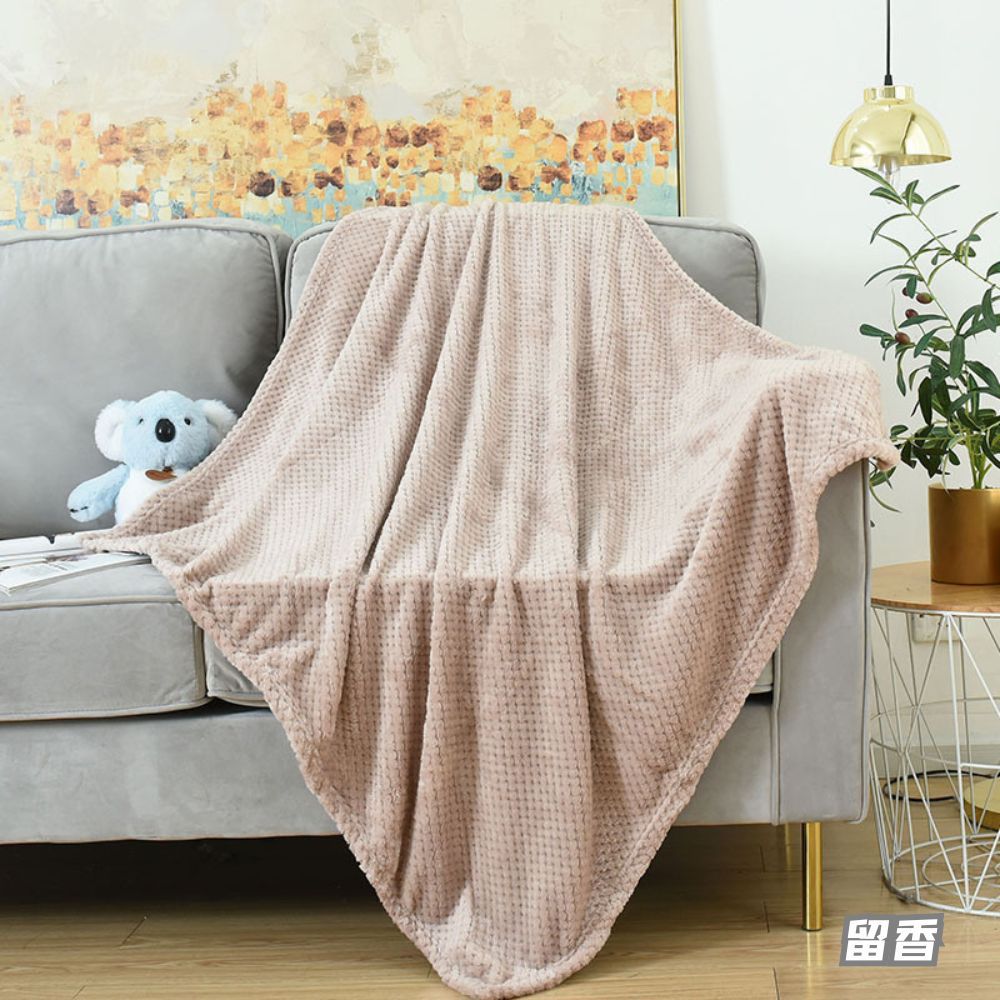 现货批发纯色法兰绒提花菠萝格毛毯宠物毯子宠物垫子春秋冬保暖|ms