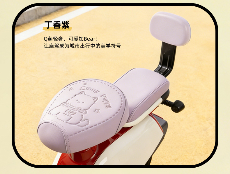 Simple Style Electric Vehicle Seat Cover, Waterproof and Sun-Proof, Suitable for Small Electric Bikes, Compatible with Yadea, Tailg, and Aima