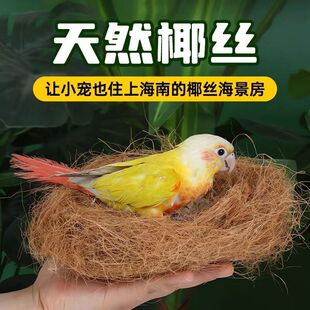 �B�C�|��Ҭ�z�W�^��ů�z���ؽz�C����ľм���������B�B��