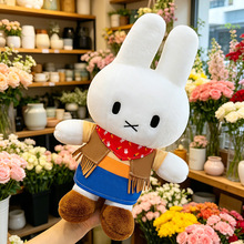 �¿�����׷���ë�q��߹����nϵ�ɐ���������ż�Y������������l