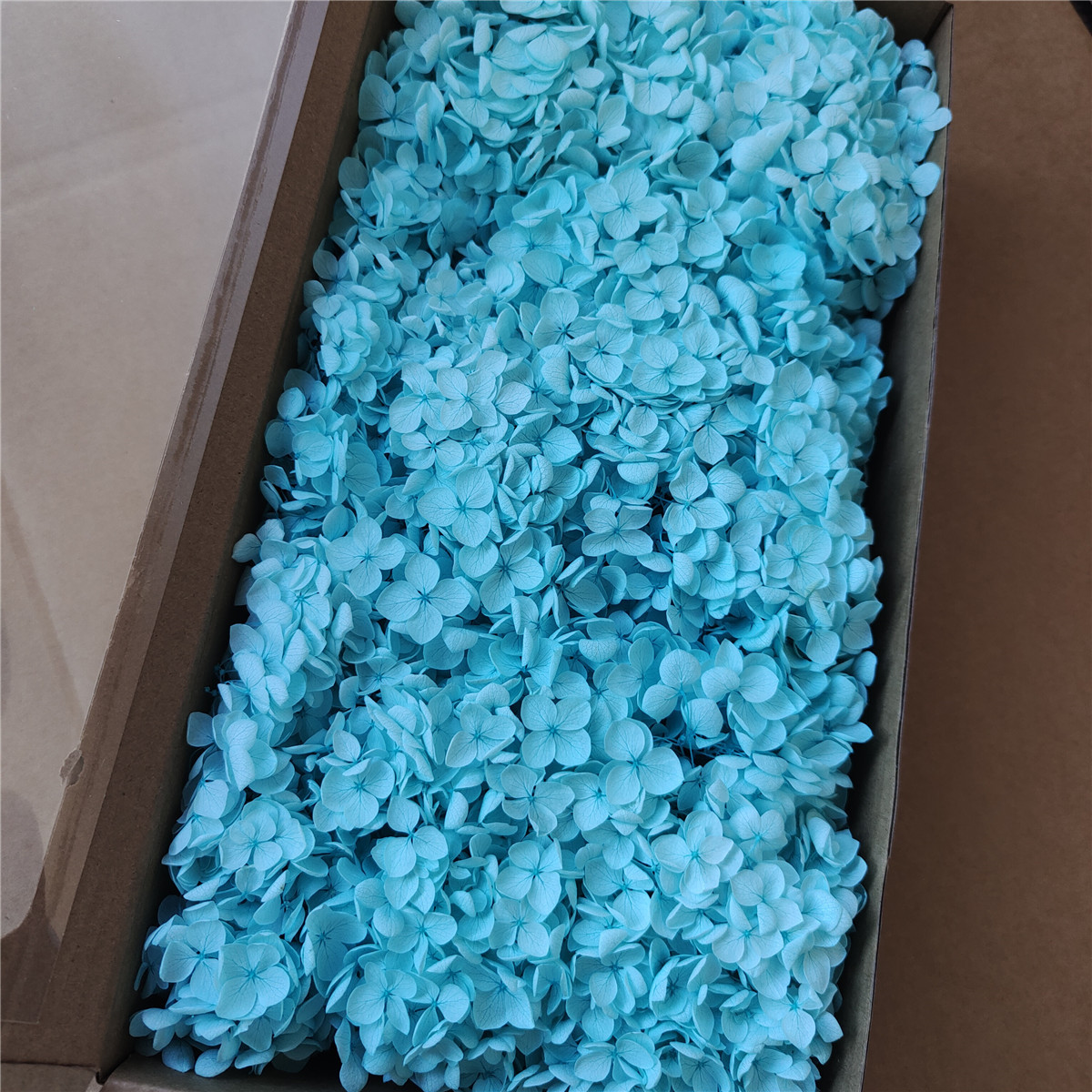 Flor eterna Hortensia Anna pequeña hoja flor seca flor real árbol de Navidad ventilador hecho a mano ramo DIY material paquete flor