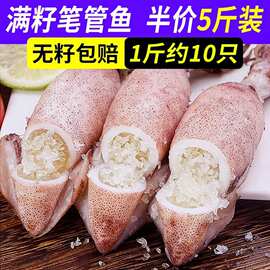新鲜大海兔满籽籽乌全籽带籽新鲜笔管鱼小墨鱼鱿鱼冷冻海兔子海鲜