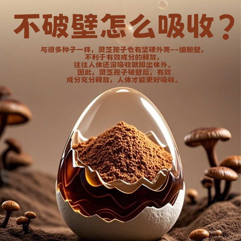 北京同仁堂霊芝抽出物胞子粉末錠剤 免疫力強化健康食品 OEM オリジナルブランド 卸売販売|undefined