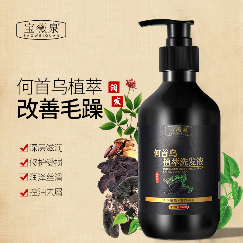 Champú de Polygonum Multiflorum Control de Aceite, Anti-caspa, Nutritivo para Cabello