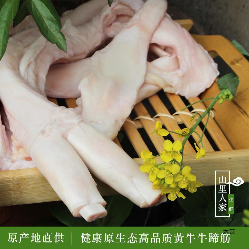 生牛蹄筋500 新鲜牛蹄筋 黄牛蹄筋 新鲜牛肉 另有牛板筋生牛筋
