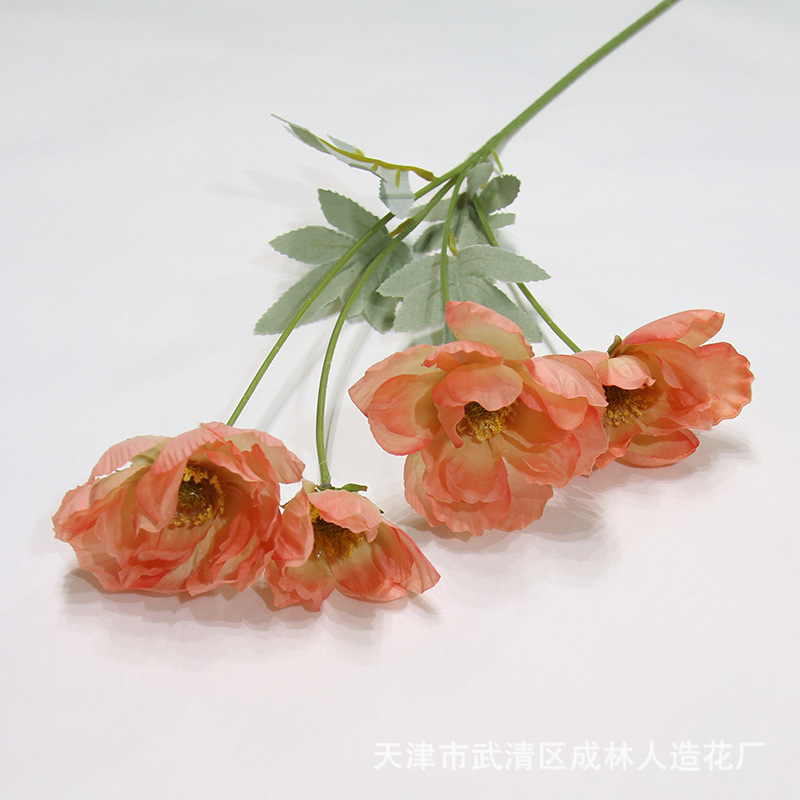 다크 핑크