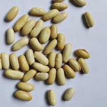 �͜غ決���ܿ�� 5��/�� ���ĥ��ԭ��