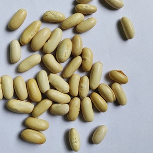 �͜غ決���ܿ�� 5��/�� ���ĥ��ԭ��