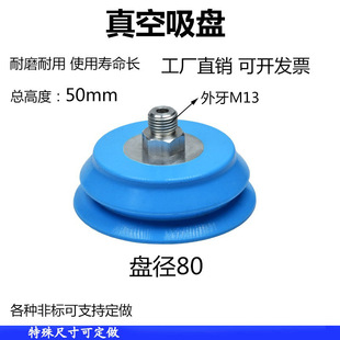 �Cе�����������P���I������ĥ���ñP��80 M13����