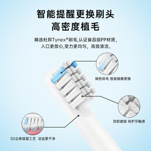 �������¿�SN301 Type-C���늄���ˢ�����L�m��ܛë���������f��