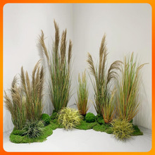 ?�ɻ���Ȕ�ݼٻ��Gֲ���Ի�c�Ҿ��b[����β�Ͳݻ��J