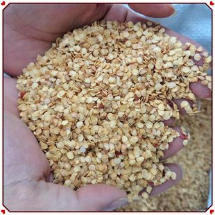 ���S�������l�½����� �N�� �F؛ ���������� ʳƷ������