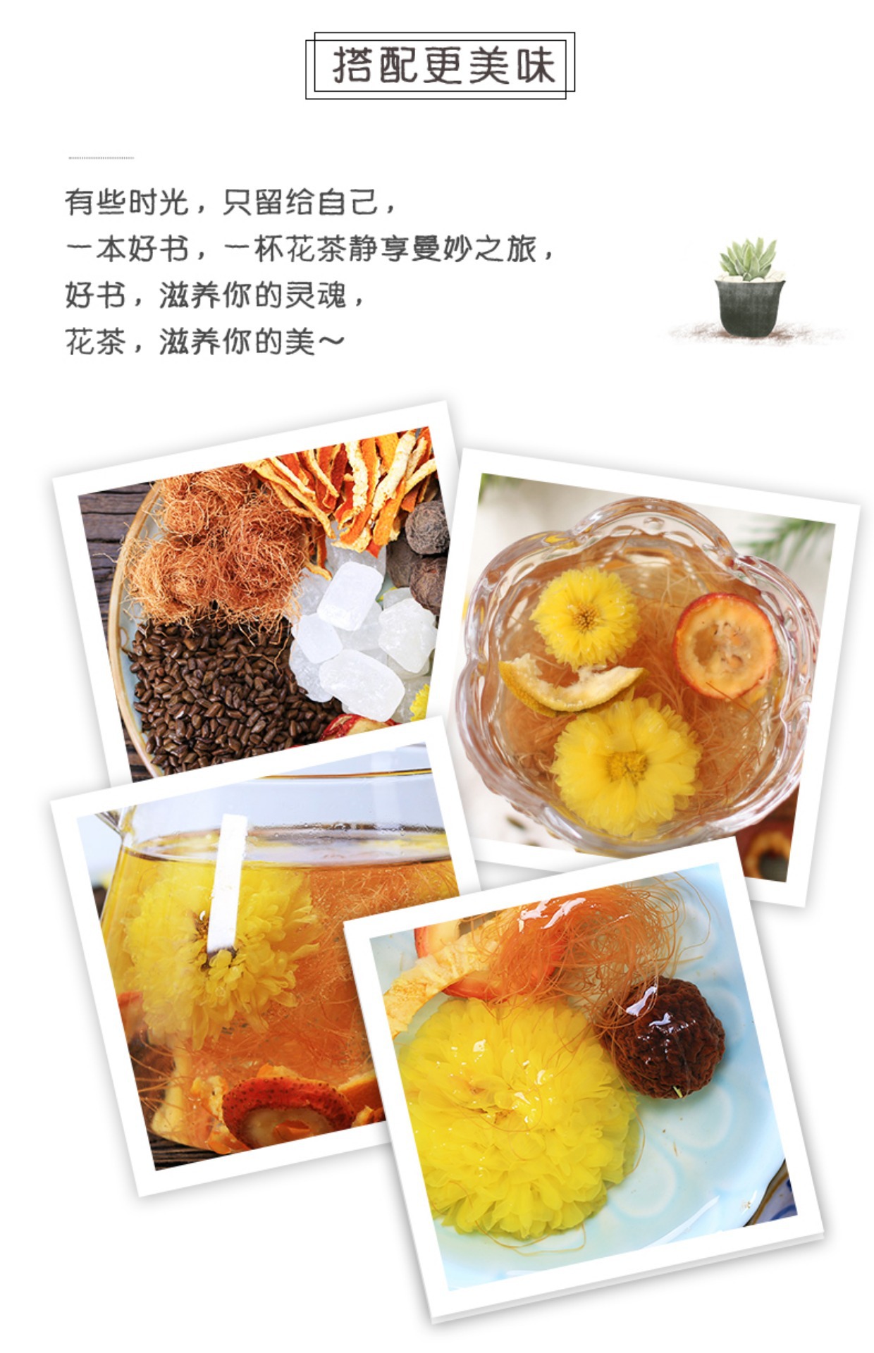 Smoked Dried Dark Plum Wu Mei 500g Bulk Traditional Sour Plum Drink Herb in use