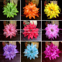 �赸��ָ���ŵ��_����������^��ݳ����^����ָ���֭h�bF؛