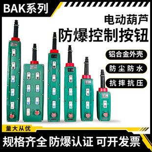 Crane Travel Explosion-Proof Electric Hoist Control Handle as Push Button Switch Bak21/31/41/51/71