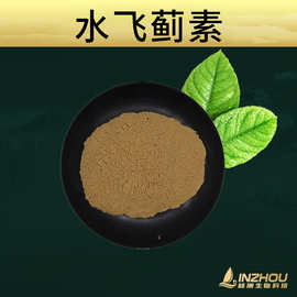 水飞蓟素  水飞蓟提取物 林洲生物 现货包邮 品质保证 量大从优