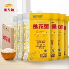 国宝橋米 京山ソフト香り貢米 5kg 大包装 ファミリーパック 米 新米