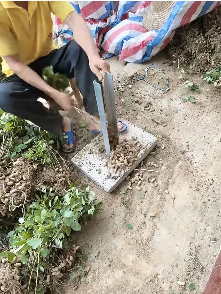 9e725d45-2118-4531-8d09-9ca9de