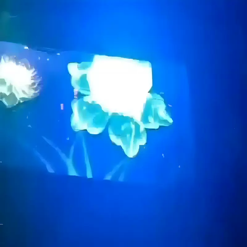 幕墙彩屏12v防水 幻彩色背景L透明LED广告宣传彩屏厂家直供