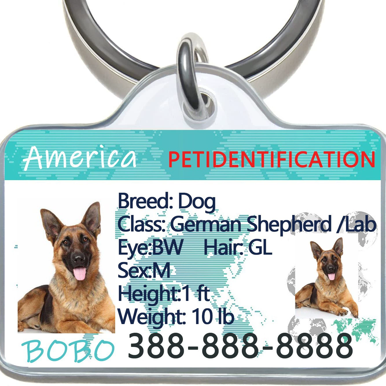 Анти-потерянная бирка для собак, бирка для кошек, металлическая бирка для собак, собачья лапа, подвесная бирка, оптовая продажа, трансграничный ошейник