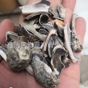 ��ؐ�X,��ؐ,��ؐ,��ؐ��,�������X ���l��ș����ؐ�X