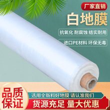 �N�Ӻ�N�˳����rĤ��Ĥ��ģ�t��������������ϩ���ϻ�����Ĥ