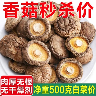 ����㹽��؛�o������r�Ҝ��̱����Ģ���y�Ӹ��㹽���l