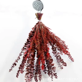 鲜花花艺制品;永生花;干花
