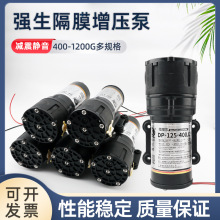 ǿ��DP125-400W���þ�ˮ����ѹ��220V��ˮ��600G-1200G��ˮ��ˮ��