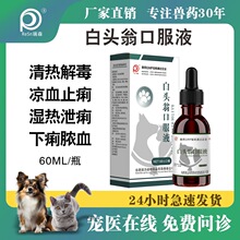 宠物兽用药白头翁口服液家禽猪牛羊猫狗清热解毒腹泻止痢草本制剂