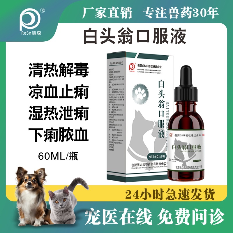 宠物兽用药白头翁口服液家禽猪牛羊猫狗清热解毒腹泻止痢草本制剂
