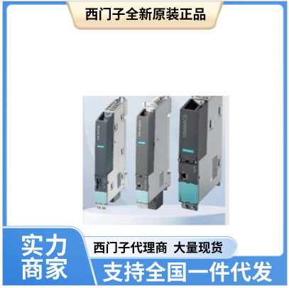 西门子611 控制插件 旋转变压器 1-ACHS/6SN1118-0BJ11-0AA0