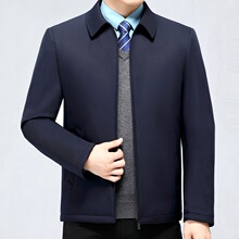 高端棉衣男秋冬新款翻领中老年爸爸休闲短款外套经典商务大码棉袄