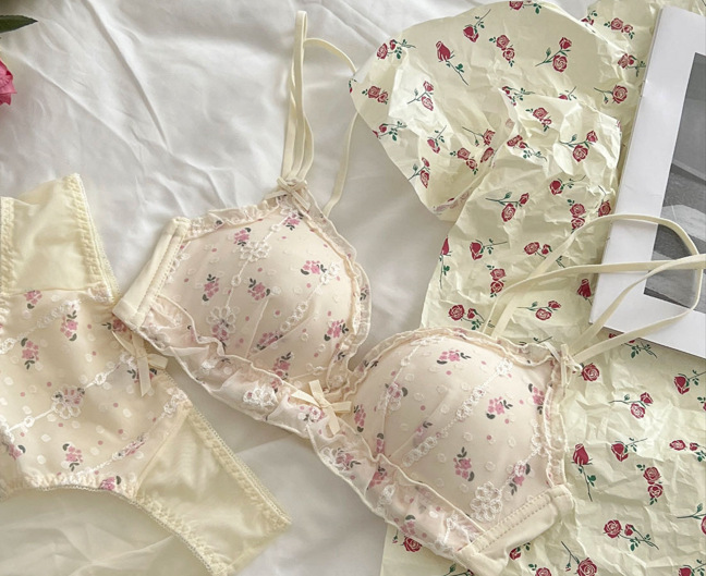 Venta directa de fábrica comercio electrónico transfronterizo Sudeste de Asia Vietnam Tailandia damas estilo francés delgado y fruncido sujetador floral