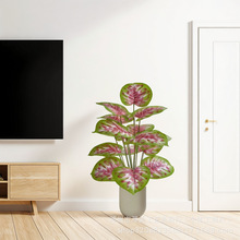 �羳Temu��Ʒ  ���滨�Gֲ�[�������~�҃������b�Ʒ��ɫ���~�t��