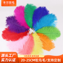 16ɫ�F؛���U�r�Bë20-25cm���|��ëdiy��̨���b�o�ϲ廨����