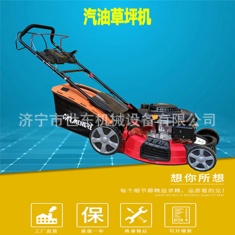 世东21寸汽油草坪机价格 手扶自走草坪修剪机 家用草坪汽油割草机