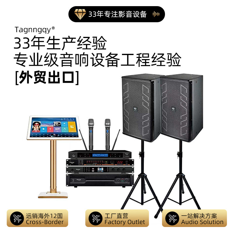 Tianlang 12inch Audio Ktv Set Cross-Border Home Entertainment Conference Room Speakers Amplifier Microphone Active Speakers Tianlang 12inch Audio Ktv Set Cross-Border Home Entertainment Conference Room Speakers Amplifier Microphone Active Speakers